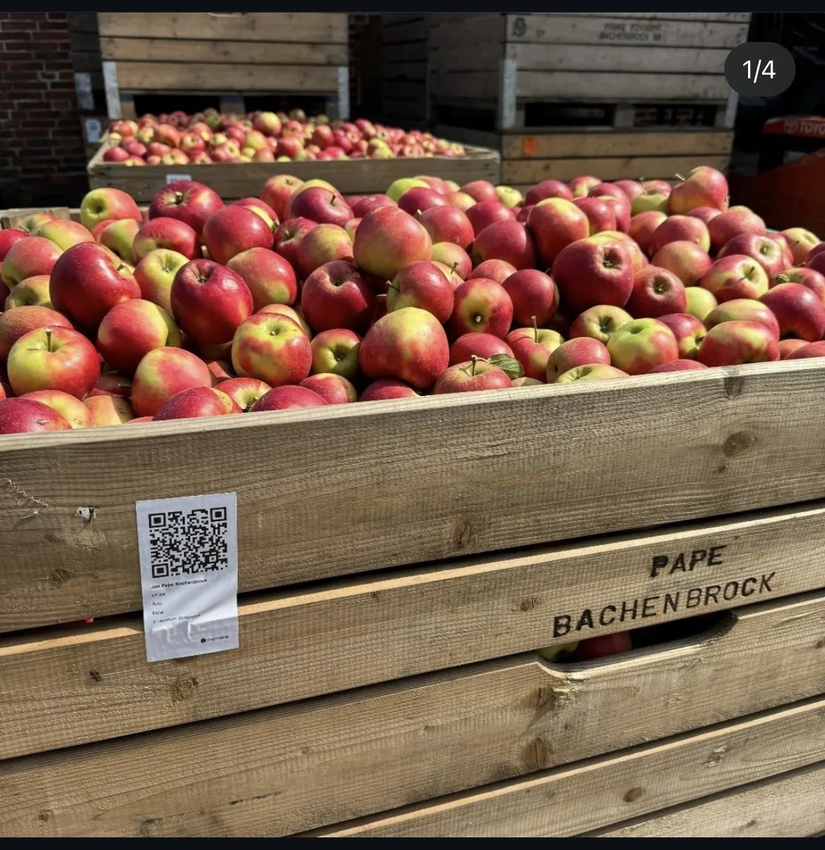Harvest Bin Labels: Full Bin Control from Field to Packhouse