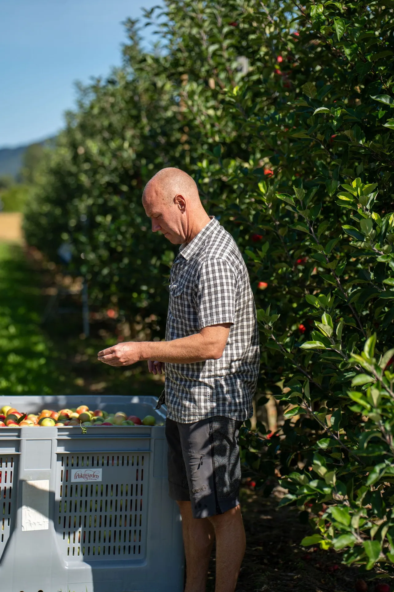 The Real Challenges Facing Farmers Today, and What Helps
